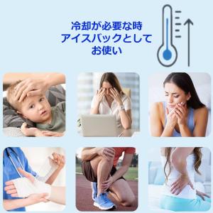 アイスバッグ 氷嚢 氷のう スポーツ ゴルフ ...の詳細画像5