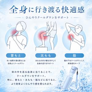氷嚢 氷のう 水筒型アイスパック 携帯用 冷却...の詳細画像4