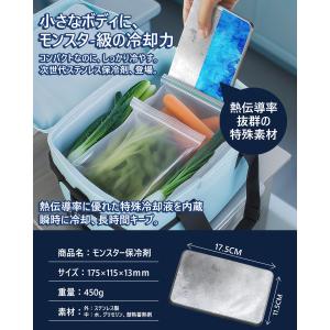【保冷剤 ステンレス製】驚異の保冷力 長時間冷...の詳細画像5
