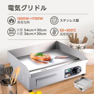 BALMUDA（バルミューダ） 専用プレート ザ プレートプロ専用 グリドル