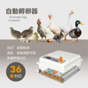 インキュベーター 鳥類全自動孵卵器 孵卵 ふ卵 孵化 ふ化 器 機 装置