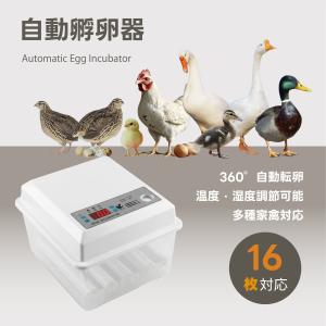 孵卵器 インキュベーター 手動転卵 ふ卵器 ふ化機 7個 ニワトリ ひよこ