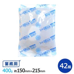 保冷剤(-18℃タイプ)スーパー冷却 約150×215 400g 42個入り 1箱｜sy-sukedati