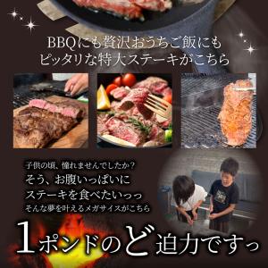 オージー 焼肉 セット 牛肉 肉 1ポンド ス...の詳細画像2