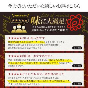 オージー 焼肉 牛肉 肉 スパイシー ガーリッ...の詳細画像4