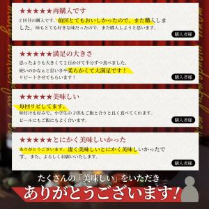 オージー 焼肉 牛肉 肉 スパイシー ガーリッ...の詳細画像5