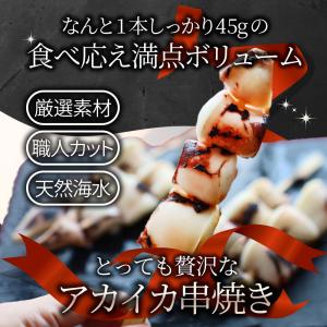 いか串 50本(10本×5) 魚介 イカ 烏賊...の詳細画像1