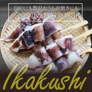 いか串 50本(10本×5) 魚介 イカ 烏賊...の詳細画像2