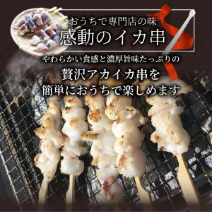 いか串 50本(10本×5) 魚介 イカ 烏賊...の詳細画像3