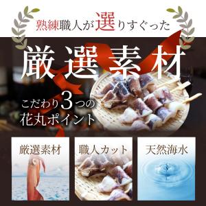いか串 50本(10本×5) 魚介 イカ 烏賊...の詳細画像4