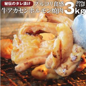 天然舞茸2kg【10月上旬発送開始】秋田産 採れたての天然マイタケを