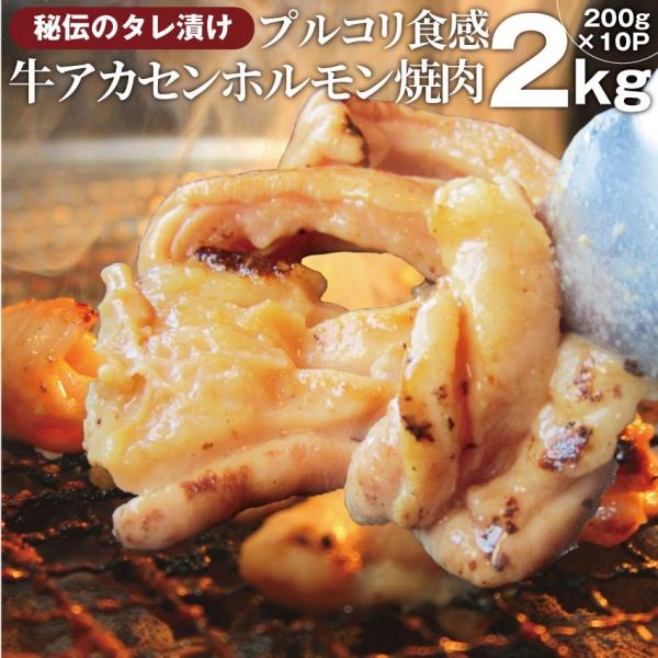 焼肉 牛肉 肉 アカセン ホルモン 2kg 200g×10袋 タレ漬け あかせん ギアラ ぎあら 焼...