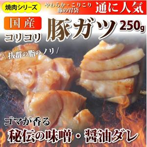 焼肉 豚肉 肉 豚ガツ 国産 がつ 250g ホルモン 胃袋