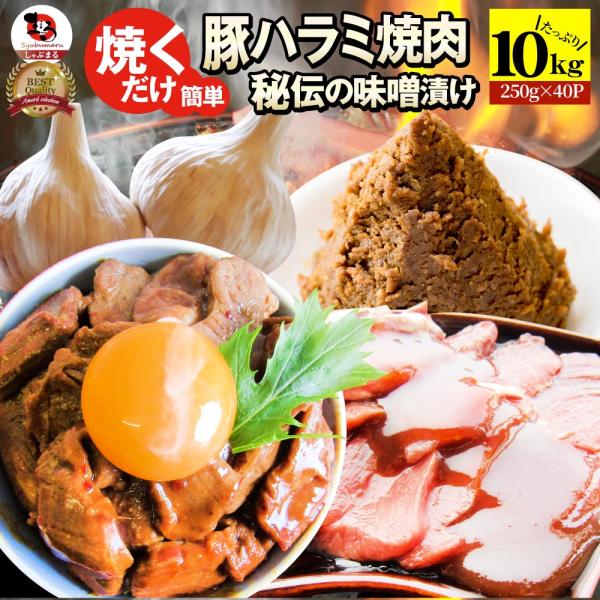 焼肉 豚ハラミ焼肉（味噌タレ漬け）10kg（250g×40） タレ 秘伝 焼肉セット 焼肉 ランキン...