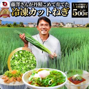 カットねぎ 500g ねぎ ネギ 藤澤さん家のカットねぎ 葱 冷凍 とれたてネギ 香川県産 冷凍野菜 時短 料理 簡単調理 包丁いらず｜お肉のしゃぶまる