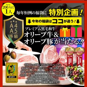 2024 肉の福袋 ブロンズ メガ盛り 総重量...の詳細画像2