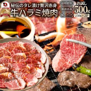 牛ハラミ焼肉（タレ漬け）500g（250g×2） タレ 赤身 はらみ 秘伝 焼肉 やきにく ハラミ アウトドア BBQ キャンプ 爆買