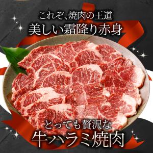 牛肉 肉 ハラミ 焼肉 3kg 250g×12...の詳細画像1