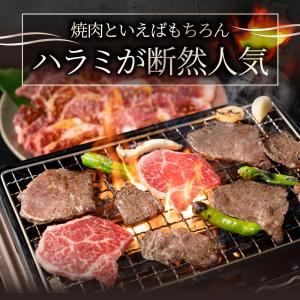 牛肉 肉 ハラミ 焼肉 3kg 250g×12...の詳細画像2