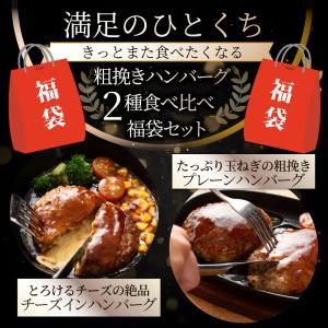 ハンバーグ 食べ比べ 豪華 福袋 メガ盛り 2...の詳細画像1