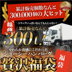 ハンバーグ 食べ比べ 豪華 福袋 メガ盛り 2...の詳細画像2