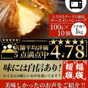 ハンバーグ 食べ比べ 豪華 福袋 メガ盛り 2...の詳細画像4