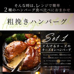 ハンバーグ 食べ比べ 豪華 福袋 メガ盛り 2...の詳細画像5