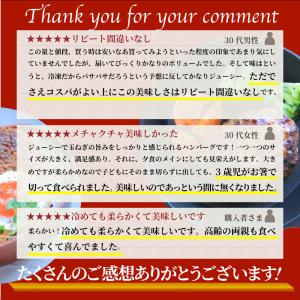 ハンバーグ 特製ソース付き 惣菜 粗挽き ハン...の詳細画像4