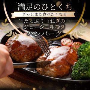 ハンバーグ 惣菜 粗挽き メガ盛り 2.4kg...の詳細画像1