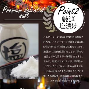 肉の宝石箱 選りすぐりウインナー ハム ベーコ...の詳細画像5