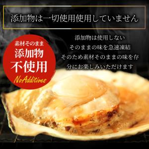 ホタテ ほたて 帆立 10枚入り 北海道産 バ...の詳細画像3