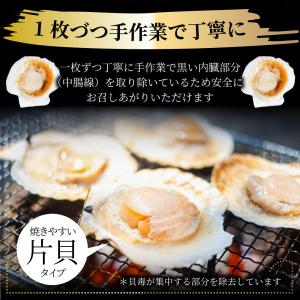 ホタテ ほたて 帆立 10枚入り 北海道産 バ...の詳細画像4