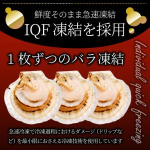 ホタテ ほたて 帆立 10枚入り 北海道産 バ...の詳細画像5