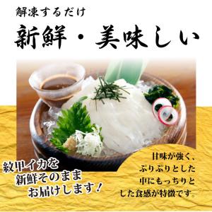 お刺身 紋甲イカソーメン 20個セット50g×...の詳細画像2