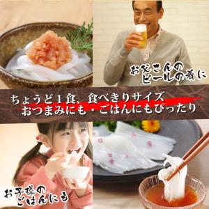 お刺身 紋甲イカソーメン 20個セット50g×...の詳細画像4