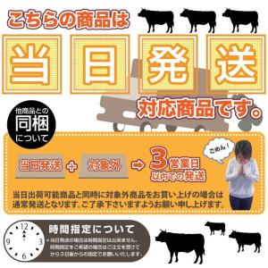 お刺身 紋甲イカソーメン 50g わさび 醤油...の詳細画像5