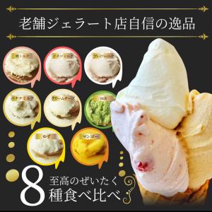 アイスクリーム 生 ジェラート スイーツ 8個...の詳細画像2