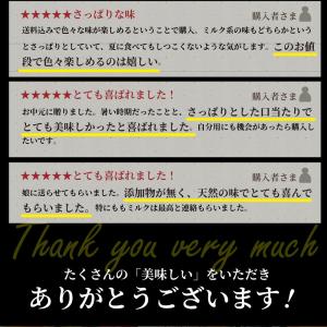 アイスクリーム 生 ジェラート スイーツ 8個...の詳細画像4