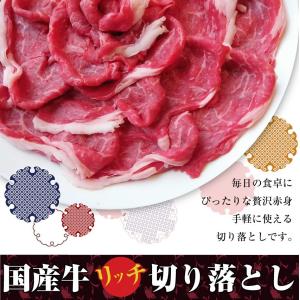 国産牛 切り落とし 贅沢 牛肉 300g お1...の詳細画像1