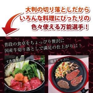 国産牛 切り落とし 贅沢 牛肉 300g お1...の詳細画像4