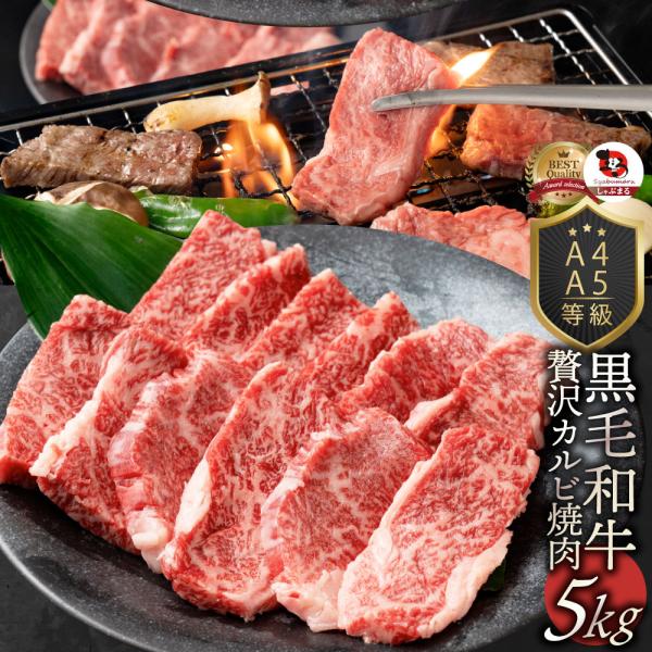 牛肉 肉 カルビ焼肉 5kg (250g×20) 焼肉のタレ付き 凍眠 テクニカン 黒毛和牛 A4,...