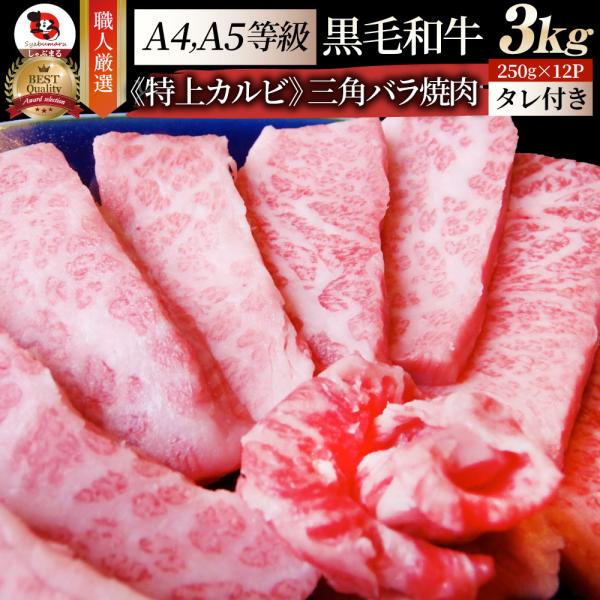 牛肉 肉 三角バラ カルビ焼肉 3kg (250g×12) 今だけ焼肉のタレ付き 凍眠 テクニカン ...