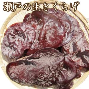 瀬戸の生きくらげ 100g キクラゲ 木耳 肉厚 国産 無農薬