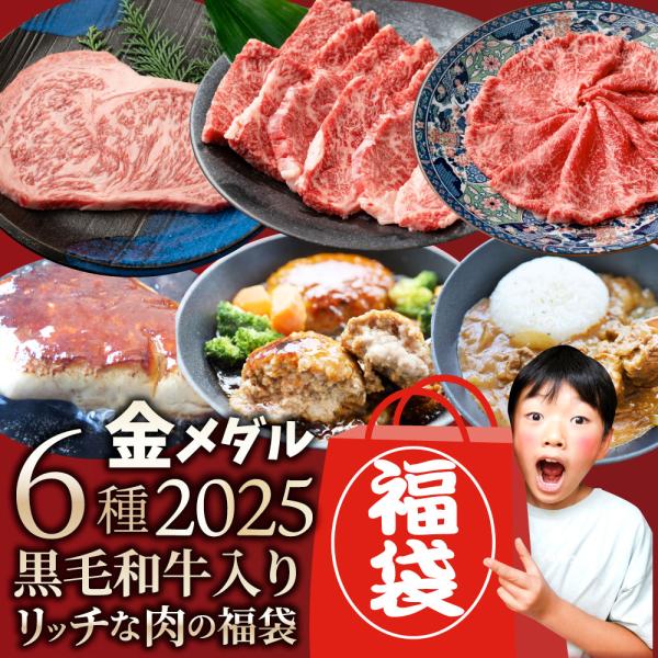 2025 肉 福袋 ステーキ 金メダル 6種盛り 黒毛和牛 牛肉 凍眠 テクニカン お得 グルメ ロ...