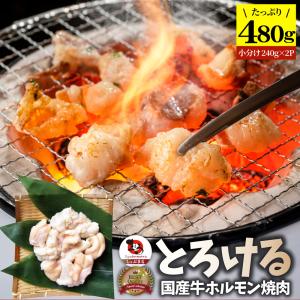 国産牛 ホルモン 480g (240g×2袋) ほるもん 小腸 焼肉用 お得 焼肉 やきにく アウトドア お家焼肉 レジャー 送料無料 冷凍｜syabumaru