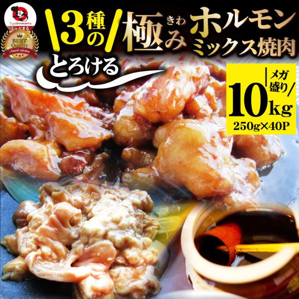 三種 ホルモン ミックス 焼肉 10kg（250ｇ×40パック）秘伝 タレ漬け バーベキュー BBQ...