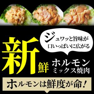 三種 ホルモン ミックス 焼肉 1kg(250...の詳細画像2