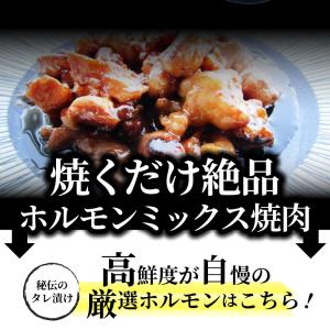 三種 ホルモン ミックス 焼肉 1kg(250...の詳細画像5