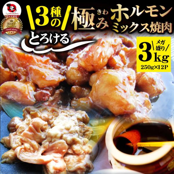 三種 ホルモン ミックス 焼肉 3kg（250ｇ×12パック）秘伝 タレ漬け バーベキュー BBQ ...