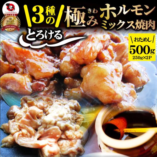 三種 ホルモン ミックス 焼肉 500g（250ｇ×2パック）秘伝 タレ漬け バーベキュー BBQ ...